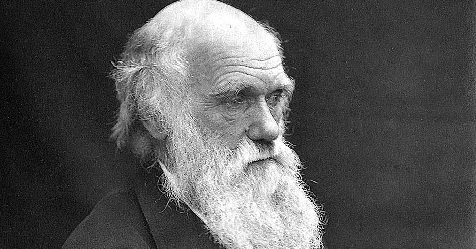 New Study Disapproves Darwin's Theory Regarding the Origin of Life