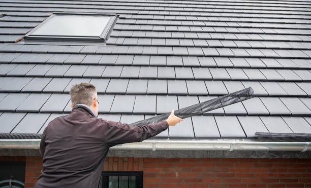 Gutter Mesh in Adelaide: Why It Is a Smart Investment for Your Home?