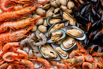 The Ultimate Guide to Frozen Seafood Mix: A Delicious and Convenient Choice